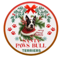 santa Paws Bull Terriers